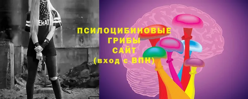 Псилоцибиновые грибы Psilocybe  Старый Оскол 